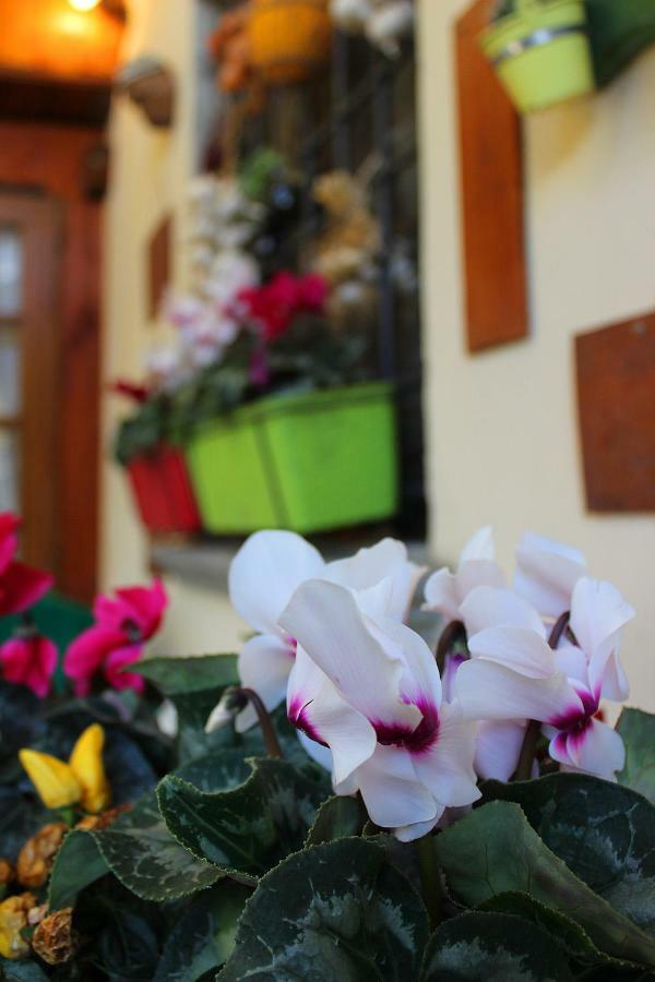 Mina House Apartment Campi Bisenzio Luaran gambar